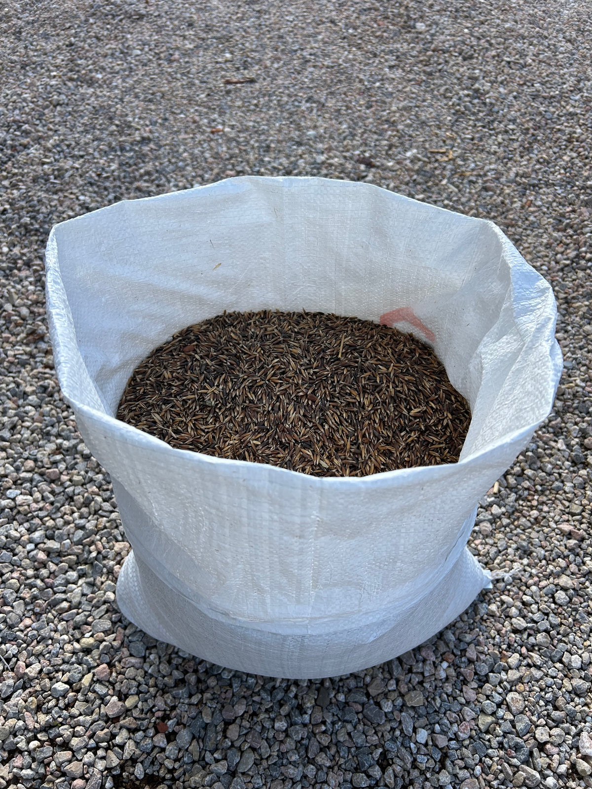 Organic Whole Oats in Bulk – Premium Grain for Mushroom Spawn Cultivation