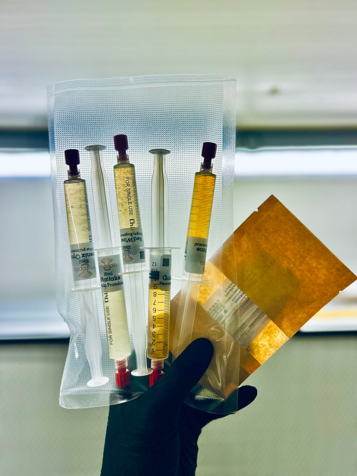 Premium Mushroom Liquid Culture - 10/20ml
