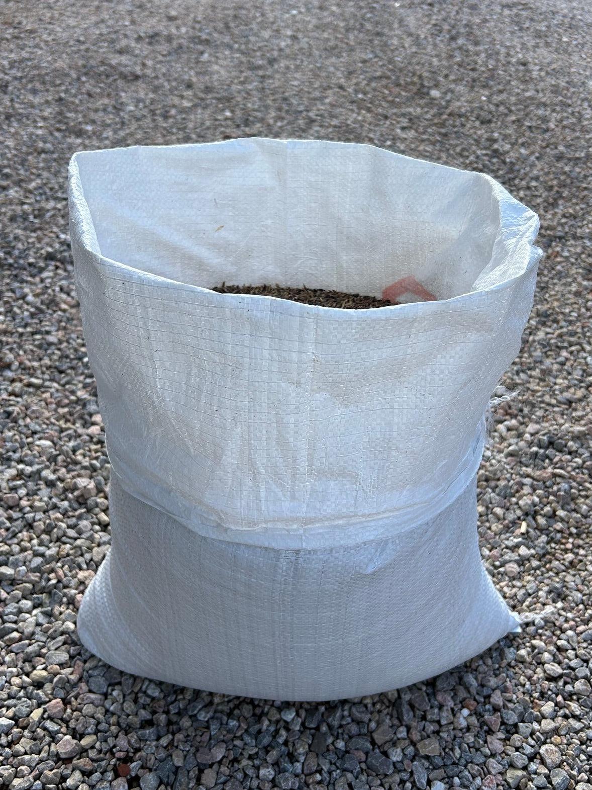Organic Whole Oats in Bulk – Premium Grain for Mushroom Spawn Cultivation